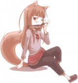 BUY NEW spice and wolf - 185737 Premium Anime Print Poster